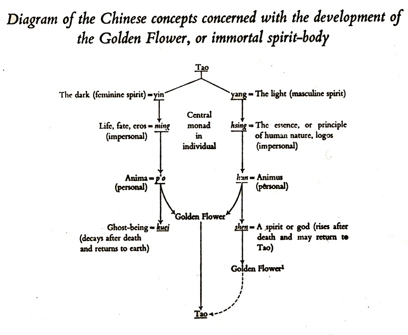 The Backward-Flowing Method, The Secret of the Golden Flower (Routledge & Kegan Paul)