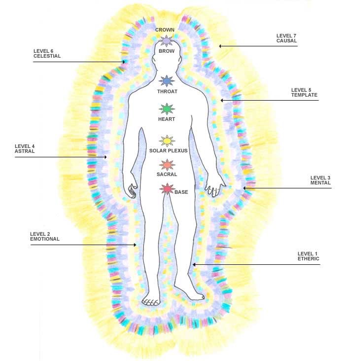 EnergyBody700