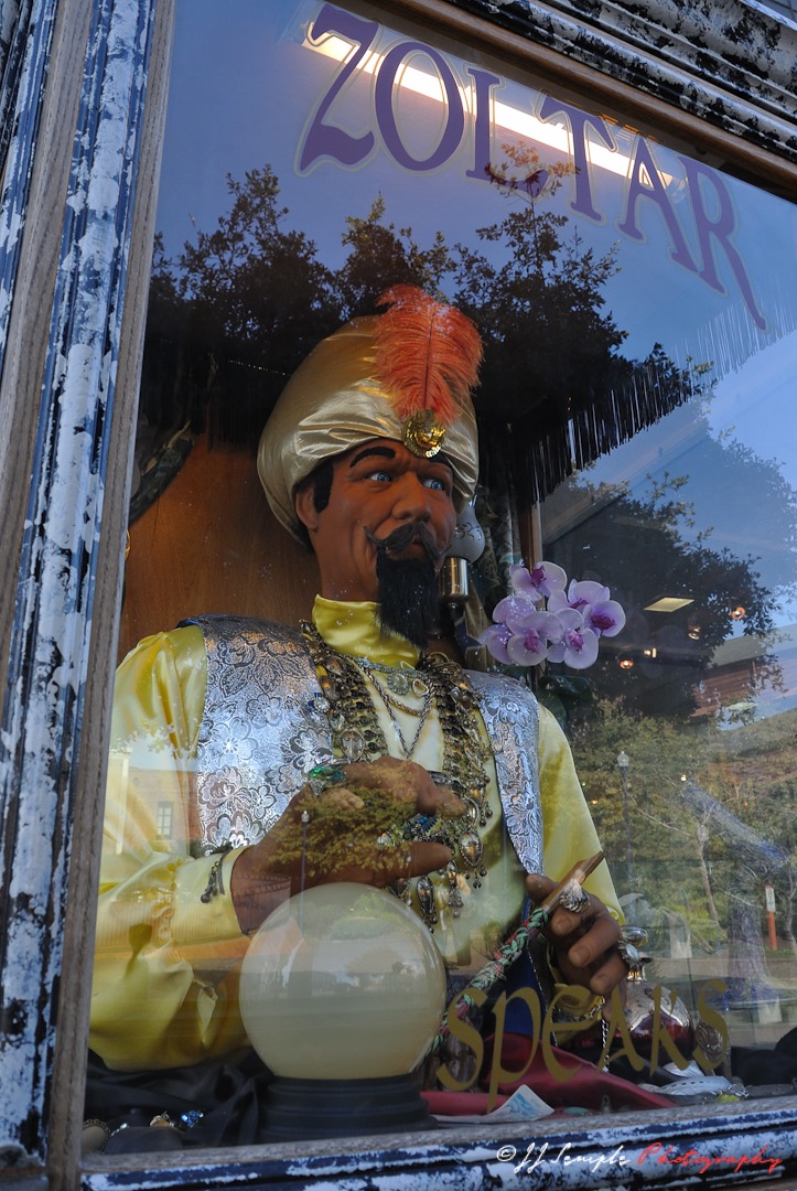 Zoltar speaks
